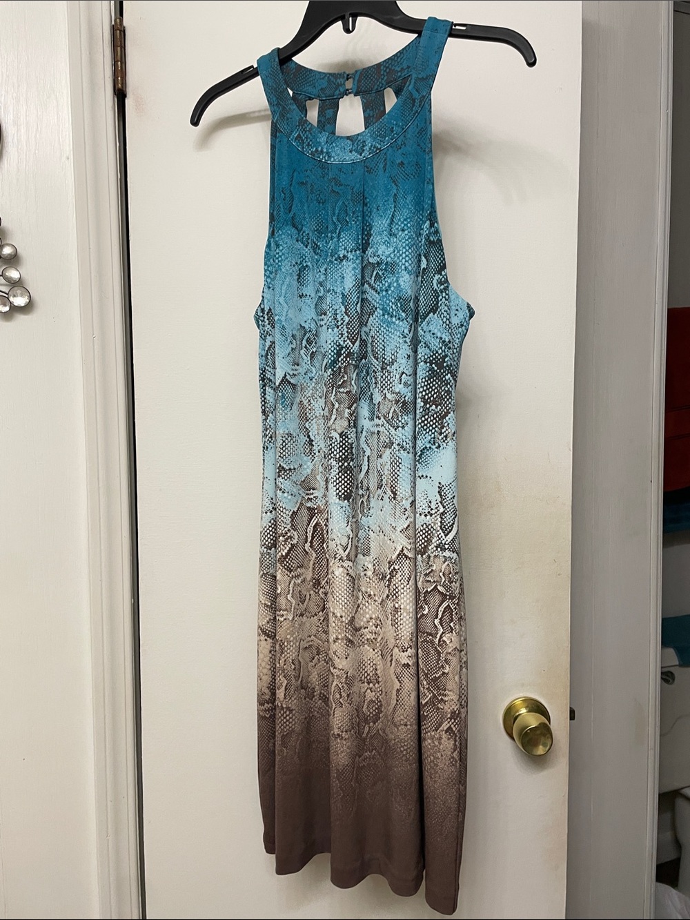 Sleeveless Ombre Snake-Print Midi Dress in Teal & Brown